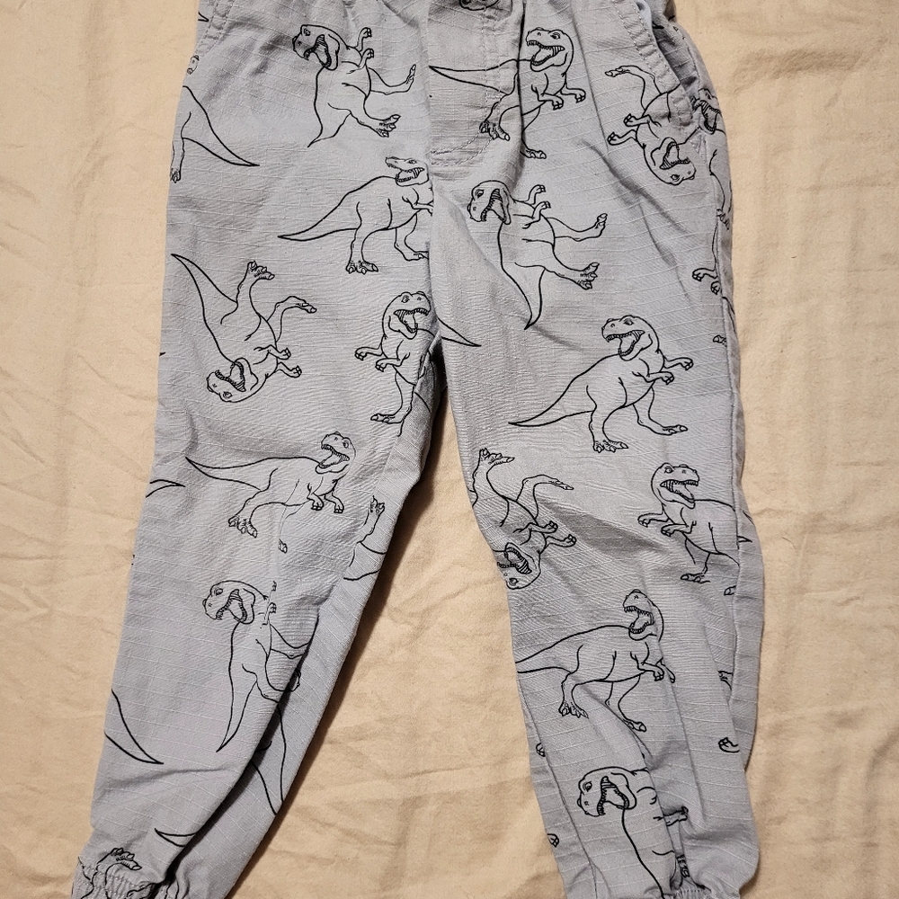 Boys dinasour pants